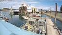 ./images/quadra/hbidock/20220814/hbidock20220814_130500M.jpg