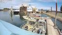 ./images/quadra/hbidock/20220814/hbidock20220814_131001M.jpg