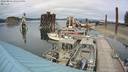 ./images/quadra/hbidock/20220814/hbidock20220814_153000M.jpg