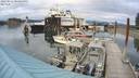 ./images/quadra/hbidock/20220814/hbidock20220814_165000M.jpg