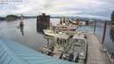 ./images/quadra/hbidock/20220814/hbidock20220814_174501M.jpg