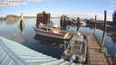 ./images/quadra/hbidock/20231026/hbidock20231026_101501M.jpg