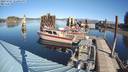 ./images/quadra/hbidock/20231027/hbidock20231027_122001M.jpg