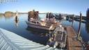 ./images/quadra/hbidock/20231028/hbidock20231028_102502M.jpg