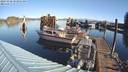 ./images/quadra/hbidock/20231028/hbidock20231028_103001M.jpg