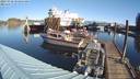 ./images/quadra/hbidock/20231028/hbidock20231028_104501M.jpg
