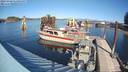 ./images/quadra/hbidock/20231028/hbidock20231028_135001M.jpg