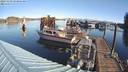 ./images/quadra/hbidock/20231029/hbidock20231029_103001M.jpg