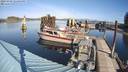 ./images/quadra/hbidock/20231029/hbidock20231029_121501M.jpg