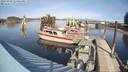 ./images/quadra/hbidock/20231029/hbidock20231029_134501M.jpg