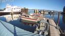 ./images/quadra/hbidock/20231030/hbidock20231030_123500M.jpg