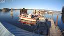 ./images/quadra/hbidock/20231030/hbidock20231030_163001M.jpg
