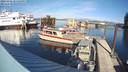 ./images/quadra/hbidock/20231031/hbidock20231031_144001M.jpg
