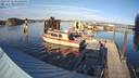 ./images/quadra/hbidock/20231031/hbidock20231031_161502M.jpg