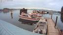 ./images/quadra/hbidock/20231101/hbidock20231101_080500M.jpg