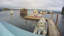 ./images/quadra/hbidock/20231110/hbidock20231110_122500M.jpg