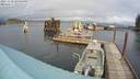 ./images/quadra/hbidock/20231110/hbidock20231110_123500M.jpg