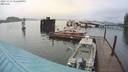 ./images/quadra/hbidock/20231111/hbidock20231111_152000M.jpg