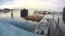 ./images/quadra/hbidock/20231111/hbidock20231111_154001M.jpg
