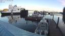 ./images/quadra/hbidock/20231113/hbidock20231113_083001M.jpg