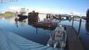 ./images/quadra/hbidock/20231113/hbidock20231113_103501M.jpg