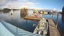 ./images/quadra/hbidock/20231113/hbidock20231113_115001M.jpg