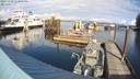./images/quadra/hbidock/20231113/hbidock20231113_123501M.jpg
