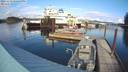 ./images/quadra/hbidock/20231113/hbidock20231113_132500M.jpg