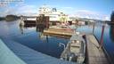 ./images/quadra/hbidock/20231113/hbidock20231113_132501M.jpg