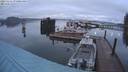 ./images/quadra/hbidock/20231114/hbidock20231114_071001M.jpg