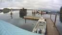 ./images/quadra/hbidock/20231114/hbidock20231114_104001M.jpg