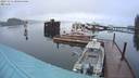 ./images/quadra/hbidock/20231115/hbidock20231115_080500M.jpg