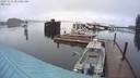 ./images/quadra/hbidock/20231115/hbidock20231115_081001M.jpg
