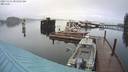 ./images/quadra/hbidock/20231115/hbidock20231115_081502M.jpg