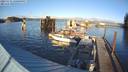 ./images/quadra/hbidock/20231115/hbidock20231115_150500M.jpg