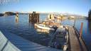 ./images/quadra/hbidock/20231115/hbidock20231115_150501M.jpg
