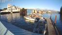 ./images/quadra/hbidock/20231115/hbidock20231115_151000M.jpg