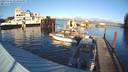 ./images/quadra/hbidock/20231115/hbidock20231115_151001M.jpg