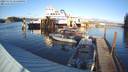 ./images/quadra/hbidock/20231115/hbidock20231115_151500M.jpg