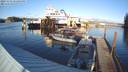 ./images/quadra/hbidock/20231115/hbidock20231115_151501M.jpg