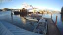 ./images/quadra/hbidock/20231115/hbidock20231115_152001M.jpg