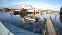 ./images/quadra/hbidock/20231116/hbidock20231116_151501M.jpg