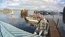 ./images/quadra/hbidock/20231119/hbidock20231119_095000M.jpg