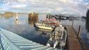 ./images/quadra/hbidock/20231119/hbidock20231119_095001M.jpg