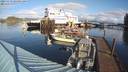 ./images/quadra/hbidock/20231119/hbidock20231119_105001M.jpg