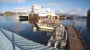 ./images/quadra/hbidock/20231119/hbidock20231119_110001M.jpg