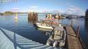 ./images/quadra/hbidock/20231119/hbidock20231119_111000M.jpg