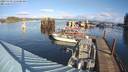 ./images/quadra/hbidock/20231119/hbidock20231119_111500M.jpg