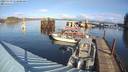 ./images/quadra/hbidock/20231119/hbidock20231119_112500M.jpg