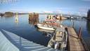 ./images/quadra/hbidock/20231119/hbidock20231119_113501M.jpg